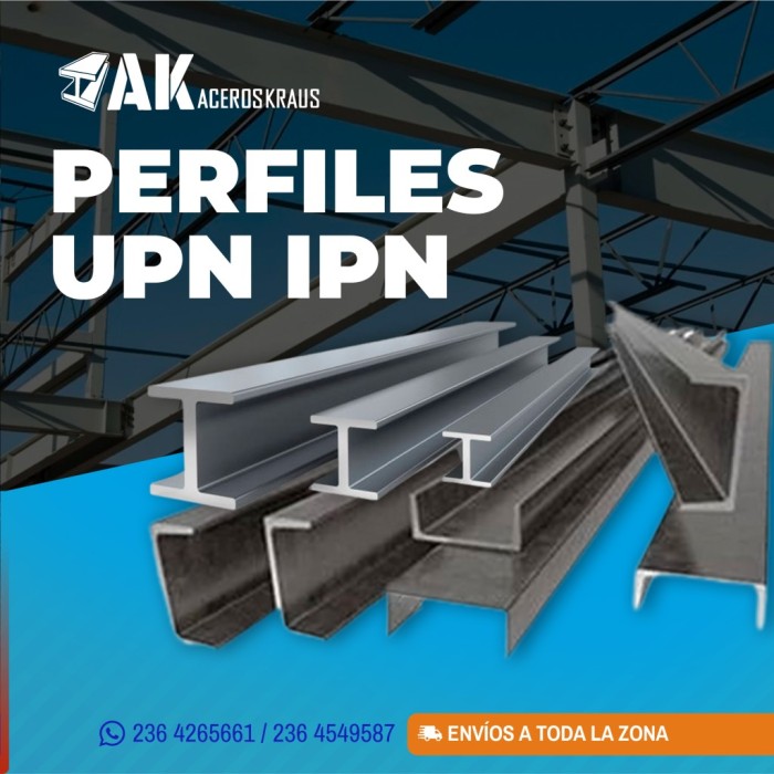 PERFIL UPN/IPN